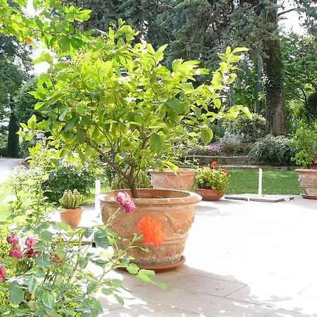 La Pergola In Castell'Arquato