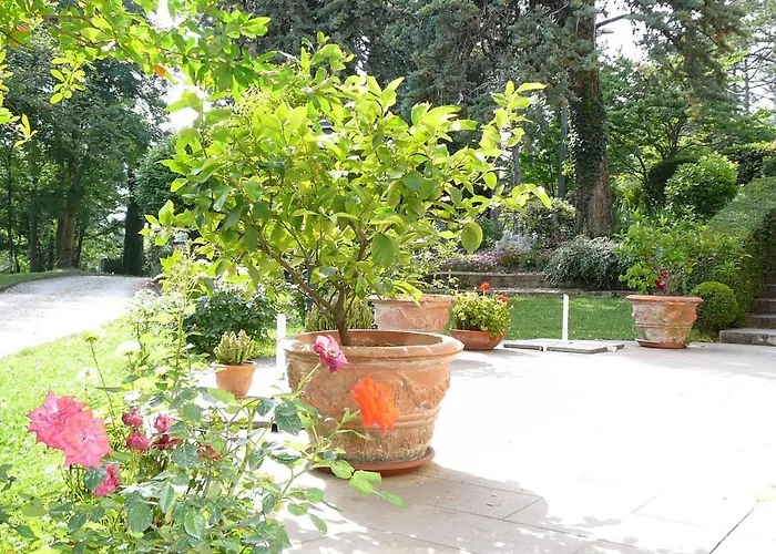 La Pergola In CastellʼArquato